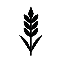 Ochrona zbóż – środki, zabiegi, terminy | DoZbóż.pl